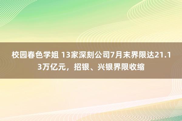 校园春色学姐 13家深刻公司7月末界限达21.13万亿元，招银、兴银界限收缩