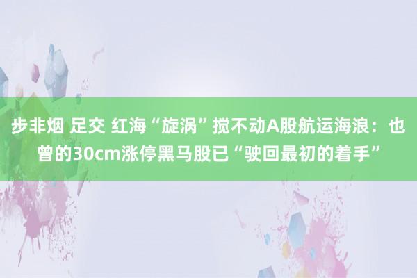 步非烟 足交 红海“旋涡”搅不动A股航运海浪：也曾的30cm涨停黑马股已“驶回最初的着手”