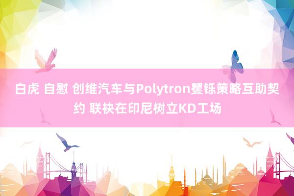 白虎 自慰 创维汽车与Polytron矍铄策略互助契约 联袂在印尼树立KD工场