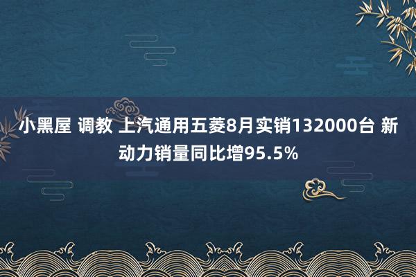 小黑屋 调教 上汽通用五菱8月实销132000台 新动力销量同比增95.5%