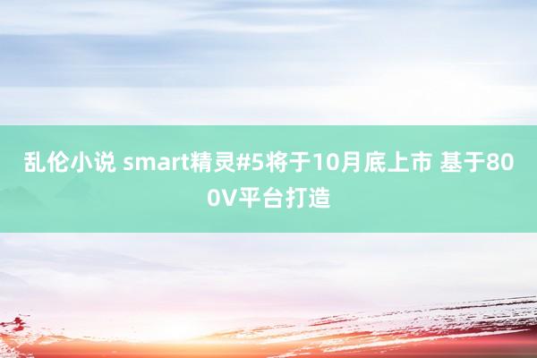 乱伦小说 smart精灵#5将于10月底上市 基于800V平台打造