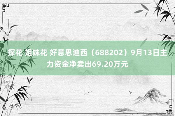 探花 姐妹花 好意思迪西（688202）9月13日主力资金净卖出69.20万元