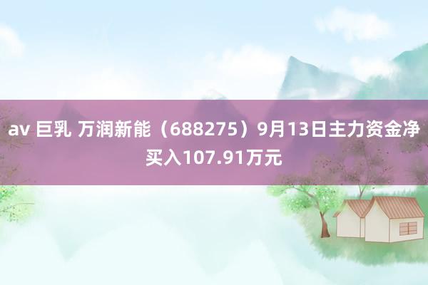 av 巨乳 万润新能（688275）9月13日主力资金净买入107.91万元