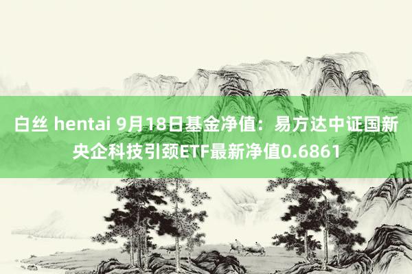 白丝 hentai 9月18日基金净值：易方达中证国新央企科技引颈ETF最新净值0.6861