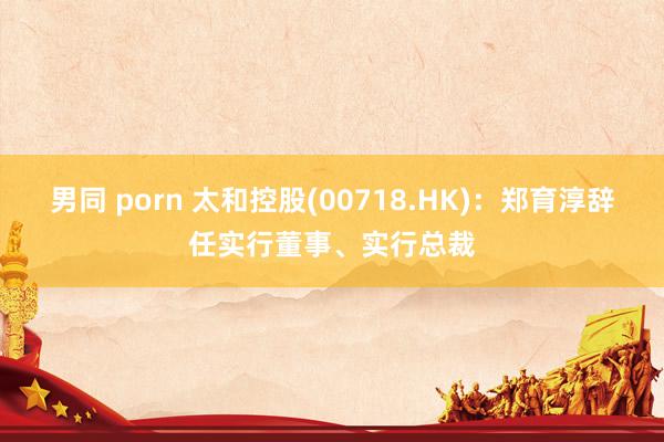 男同 porn 太和控股(00718.HK)：郑育淳辞任实行董事、实行总裁