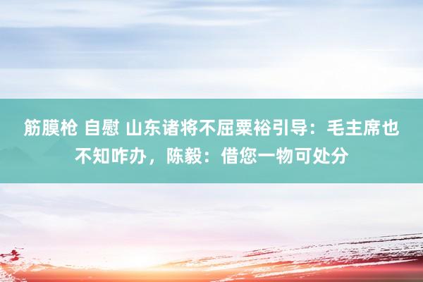 筋膜枪 自慰 山东诸将不屈粟裕引导：毛主席也不知咋办，陈毅：借您一物可处分