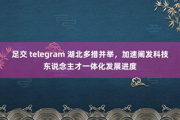 足交 telegram 湖北多措并举，加速阐发科技东说念主才一体化发展进度