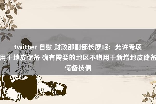 twitter 自慰 财政部副部长廖岷：允许专项债券用于地皮储备 确有需要的地区不错用于新增地皮储备技俩