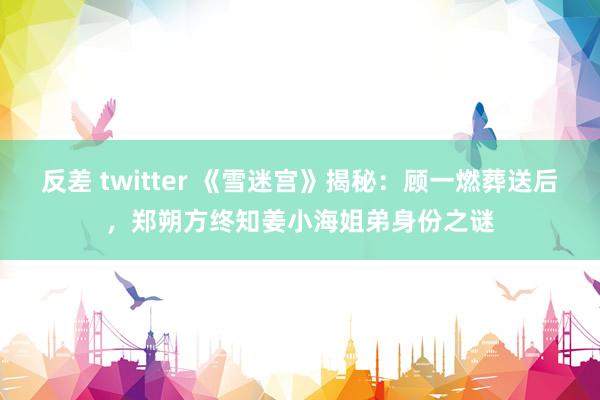 反差 twitter 《雪迷宫》揭秘：顾一燃葬送后，郑朔方终知姜小海姐弟身份之谜