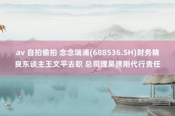 av 自拍偷拍 念念瑞浦(688536.SH)财务精良东谈主王文平去职 总司理吴建刚代行责任