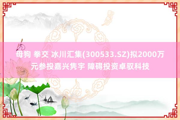 母狗 拳交 冰川汇集(300533.SZ)拟2000万元参投嘉兴隽宇 障碍投资卓驭科技