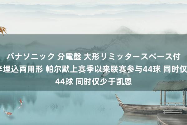 パナソニック 分電盤 大形リミッタースペース付 露出・半埋込両用形 帕尔默上赛季以来联赛参与44球 同时仅少于凯恩