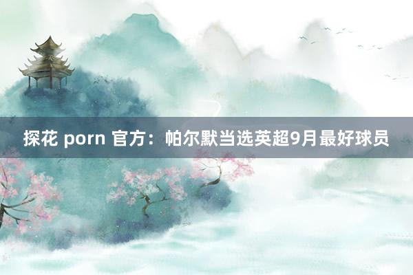 探花 porn 官方：帕尔默当选英超9月最好球员