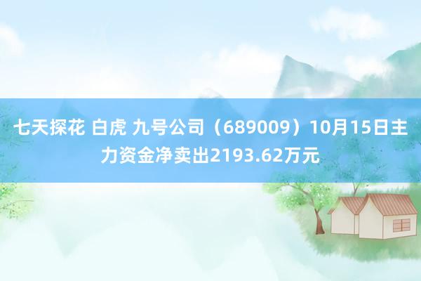 七天探花 白虎 九号公司（689009）10月15日主力资金净卖出2193.62万元