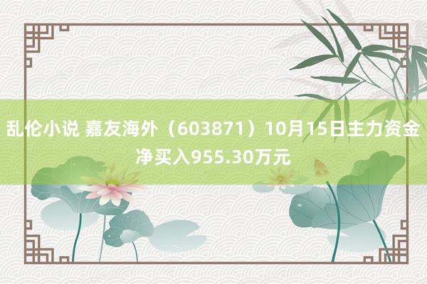 乱伦小说 嘉友海外（603871）10月15日主力资金净买入955.30万元