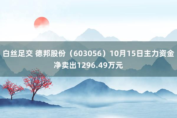 白丝足交 德邦股份（603056）10月15日主力资金净卖出1296.49万元