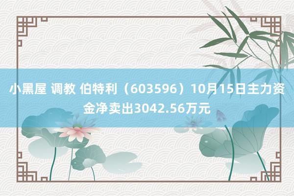 小黑屋 调教 伯特利（603596）10月15日主力资金净卖出3042.56万元