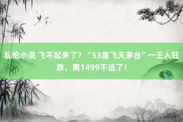 乱伦小说 飞不起来了？“53度飞天茅台”一王人狂跌，离1499不远了！