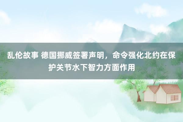 乱伦故事 德国挪威签署声明，命令强化北约在保护关节水下智力方面作用