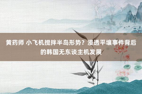 黄药师 小飞机搅拌半岛形势？浸透平壤事件背后的韩国无东谈主机发展