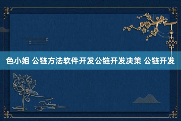 色小姐 公链方法软件开发公链开发决策 公链开发