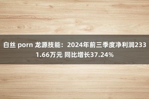 白丝 porn 龙源技能：2024年前三季度净利润2331.66万元 同比增长37.24%