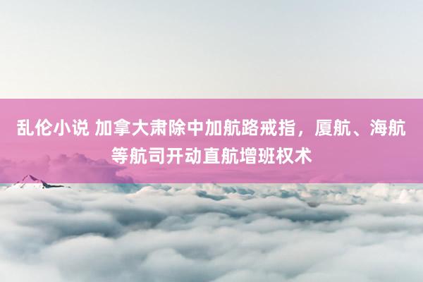 乱伦小说 加拿大肃除中加航路戒指，厦航、海航等航司开动直航增班权术