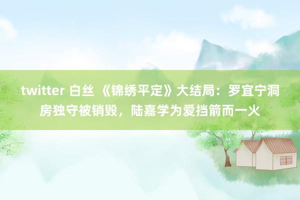 twitter 白丝 《锦绣平定》大结局：罗宜宁洞房独守被销毁，陆嘉学为爱挡箭而一火