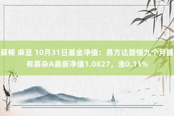 蘇暢 麻豆 10月31日基金净值：易方达磐恒九个月握有羼杂A最新净值1.0827，涨0.11%