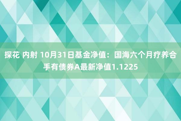 探花 内射 10月31日基金净值：国海六个月疗养合手有债券A最新净值1.1225