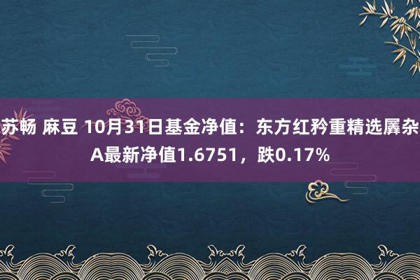 苏畅 麻豆 10月31日基金净值：东方红矜重精选羼杂A最新净值1.6751，跌0.17%