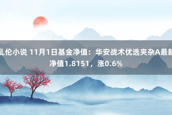 乱伦小说 11月1日基金净值：华安战术优选夹杂A最新净值1.8151，涨0.6%