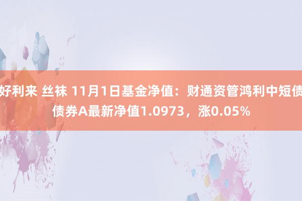 好利来 丝袜 11月1日基金净值：财通资管鸿利中短债债券A最新净值1.0973，涨0.05%