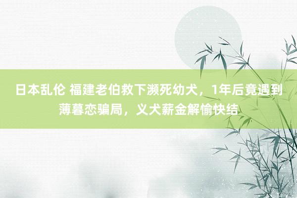 日本乱伦 福建老伯救下濒死幼犬，1年后竟遇到薄暮恋骗局，义犬薪金解愉快结