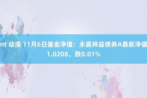 nt 动漫 11月6日基金净值：永赢祥益债券A最新净值1.0208，跌0.01%