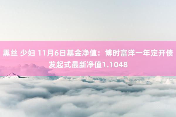 黑丝 少妇 11月6日基金净值：博时富洋一年定开债发起式最新净值1.1048