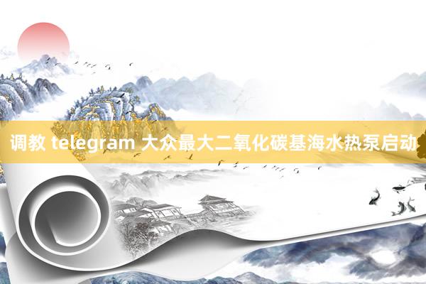 调教 telegram 大众最大二氧化碳基海水热泵启动