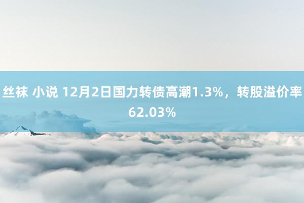 丝袜 小说 12月2日国力转债高潮1.3%，转股溢价率62.03%