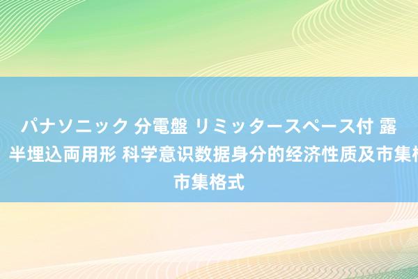 パナソニック 分電盤 リミッタースペース付 露出・半埋込両用形 科学意识数据身分的经济性质及市集格式