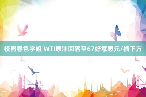 校园春色学姐 WTI原油回落至67好意思元/桶下方