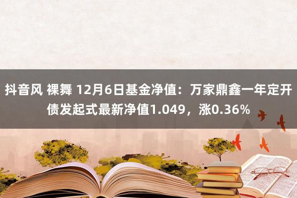 抖音风 裸舞 12月6日基金净值：万家鼎鑫一年定开债发起式最新净值1.049，涨0.36%