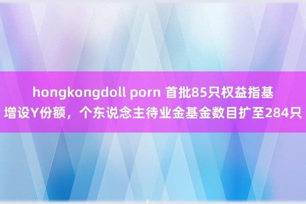 hongkongdoll porn 首批85只权益指基增设Y份额，个东说念主待业金基金数目扩至284只