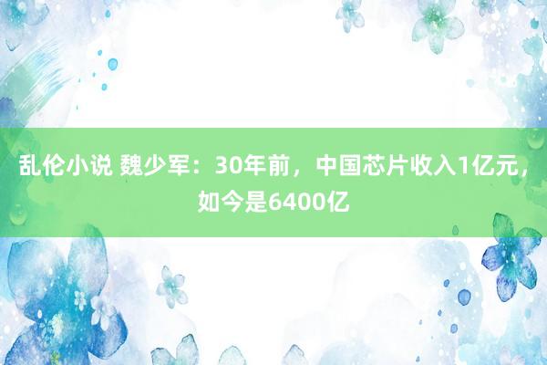 乱伦小说 魏少军：30年前，中国芯片收入1亿元，如今是6400亿