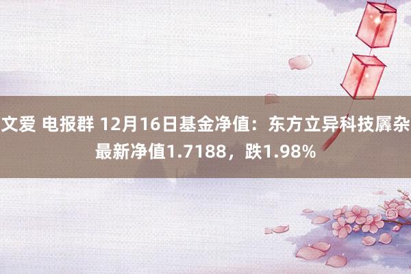 文爱 电报群 12月16日基金净值：东方立异科技羼杂最新净值1.7188，跌1.98%