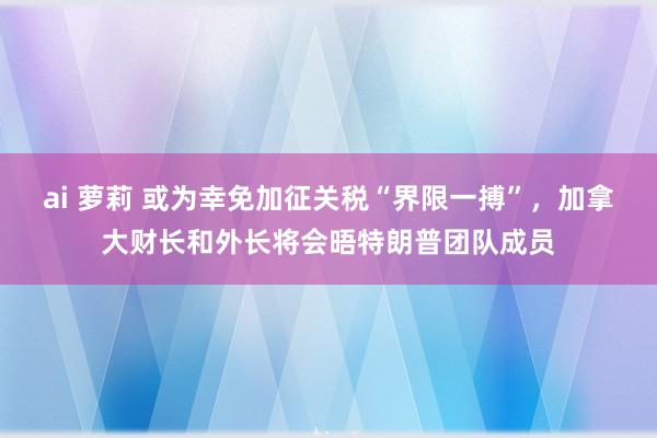 ai 萝莉 或为幸免加征关税“界限一搏”，加拿大财长和外长将会晤特朗普团队成员