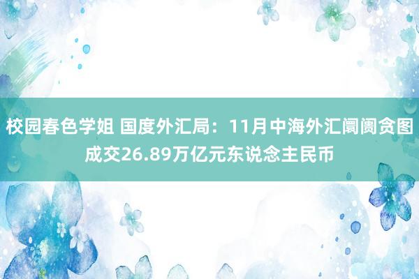 校园春色学姐 国度外汇局：11月中海外汇阛阓贪图成交26.89万亿元东说念主民币