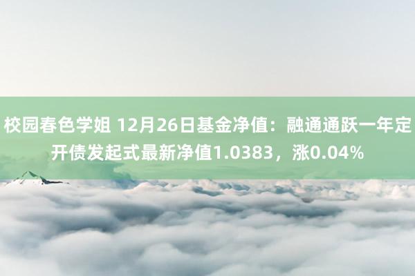 校园春色学姐 12月26日基金净值：融通通跃一年定开债发起式最新净值1.0383，涨0.04%