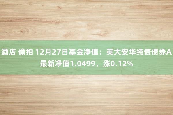 酒店 偷拍 12月27日基金净值：英大安华纯债债券A最新净值1.0499，涨0.12%