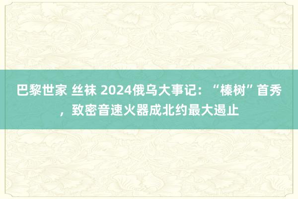 巴黎世家 丝袜 2024俄乌大事记：“榛树”首秀，致密音速火器成北约最大遏止