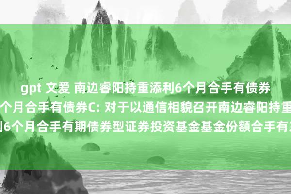 gpt 文爱 南边睿阳持重添利6个月合手有债券A，南边睿阳持重添利6个月合手有债券C: 对于以通信相貌召开南边睿阳持重添利6个月合手有期债券型证券投资基金基金份额合手有东说念主大会的第一次教唆性公告